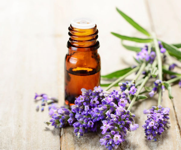 Lavender Oil